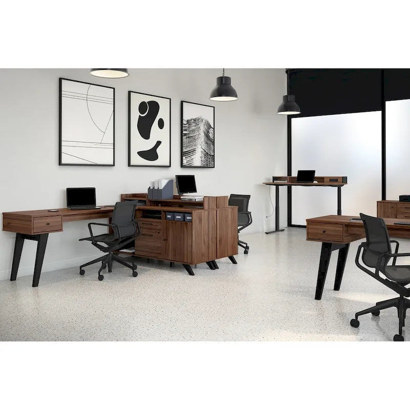 2-Drawer Credenza Cabinet with Doors